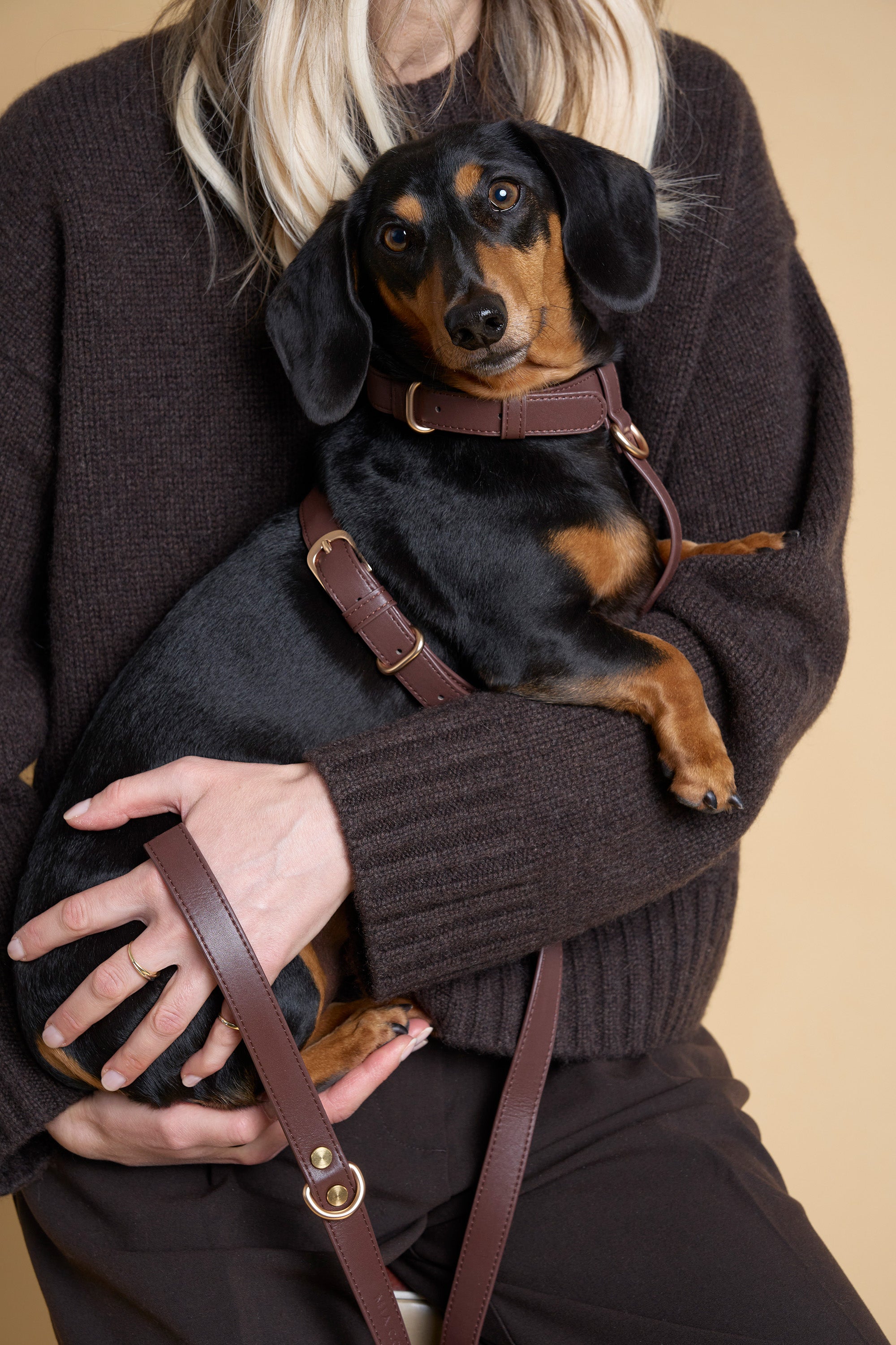 Classic Harness Set – Dark Chocolate