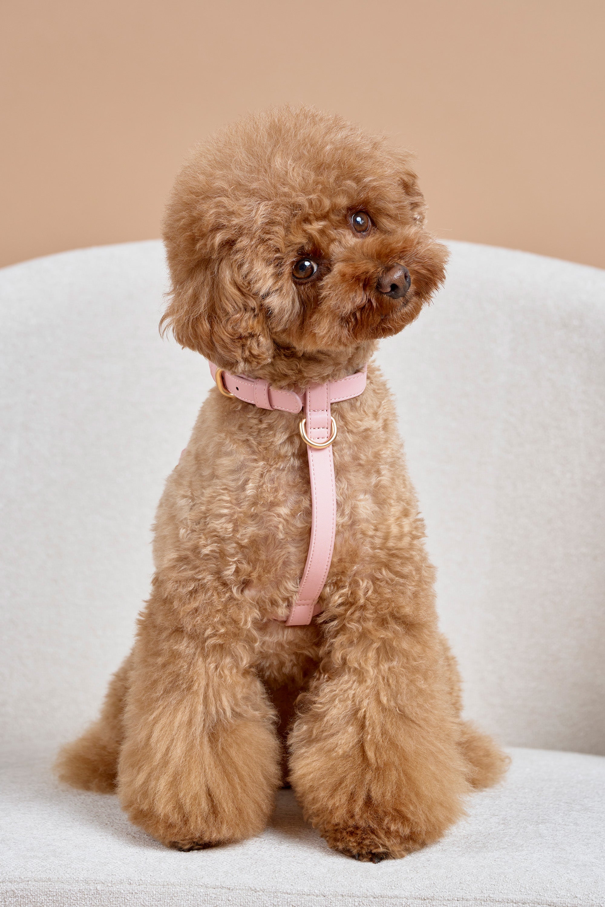 Classic Harness – Blush Pink
