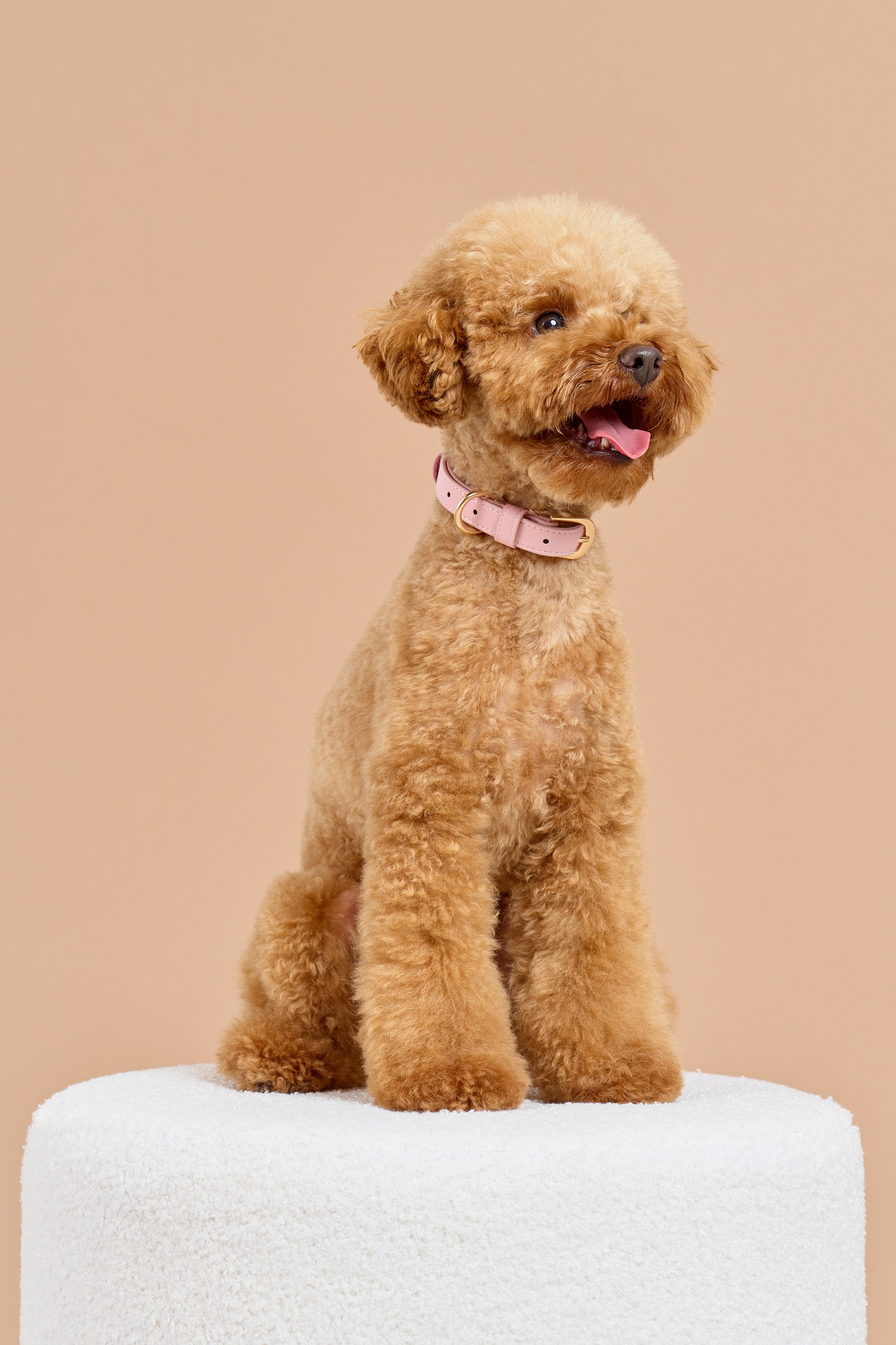 Classic Collar Set – Blush Pink