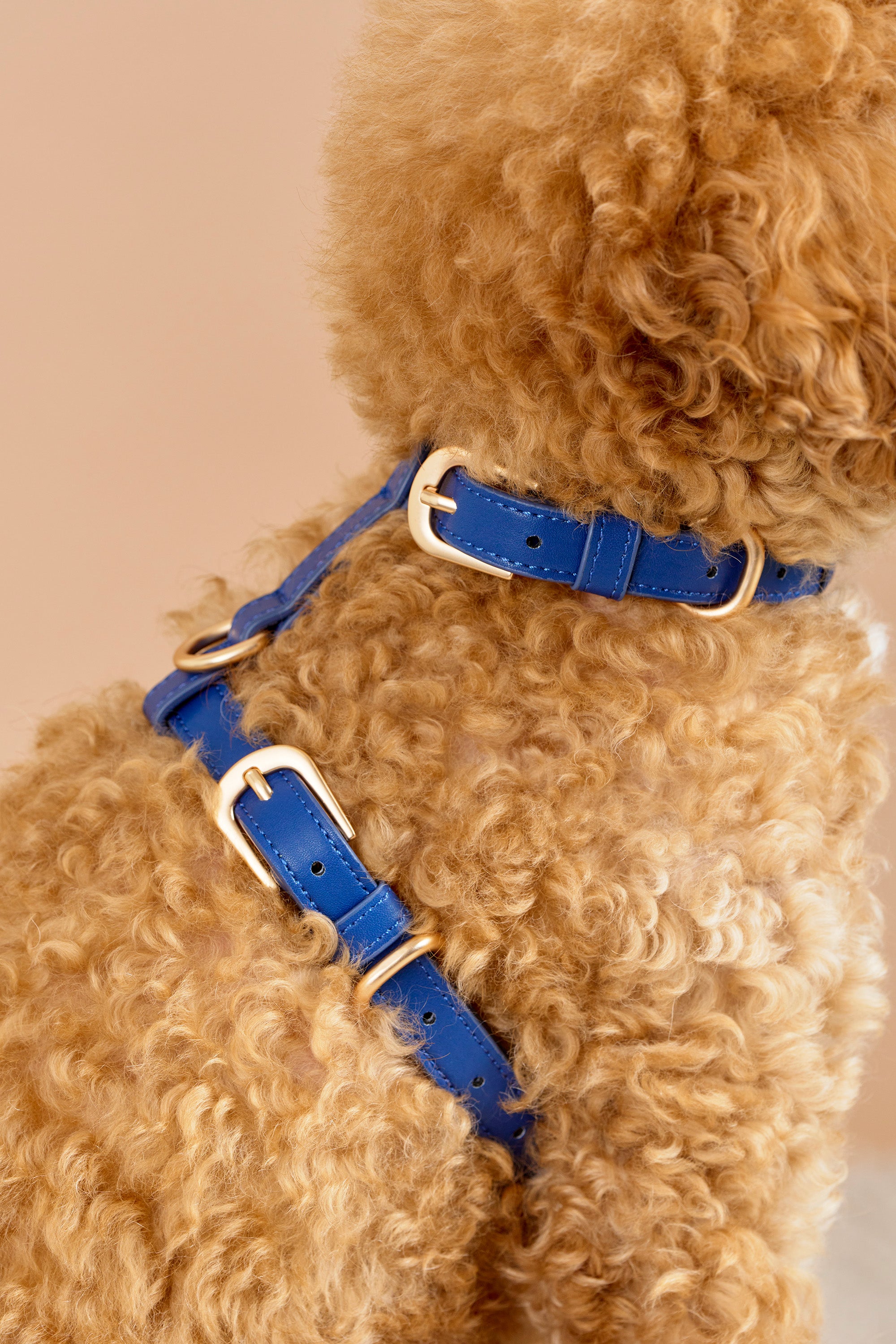 Classic Harness Set – Navy Blue