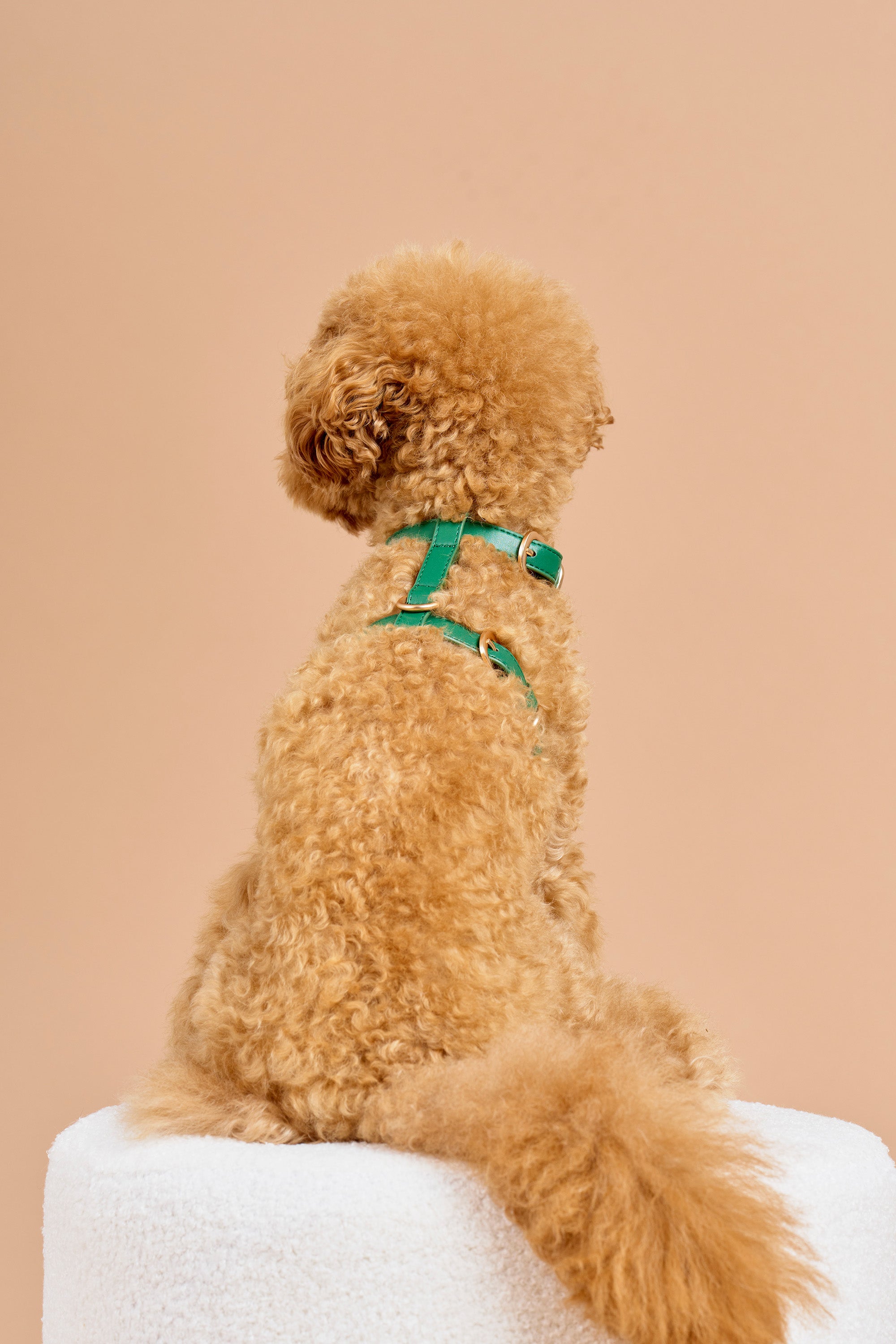Signature Walk Set – Emerald Green