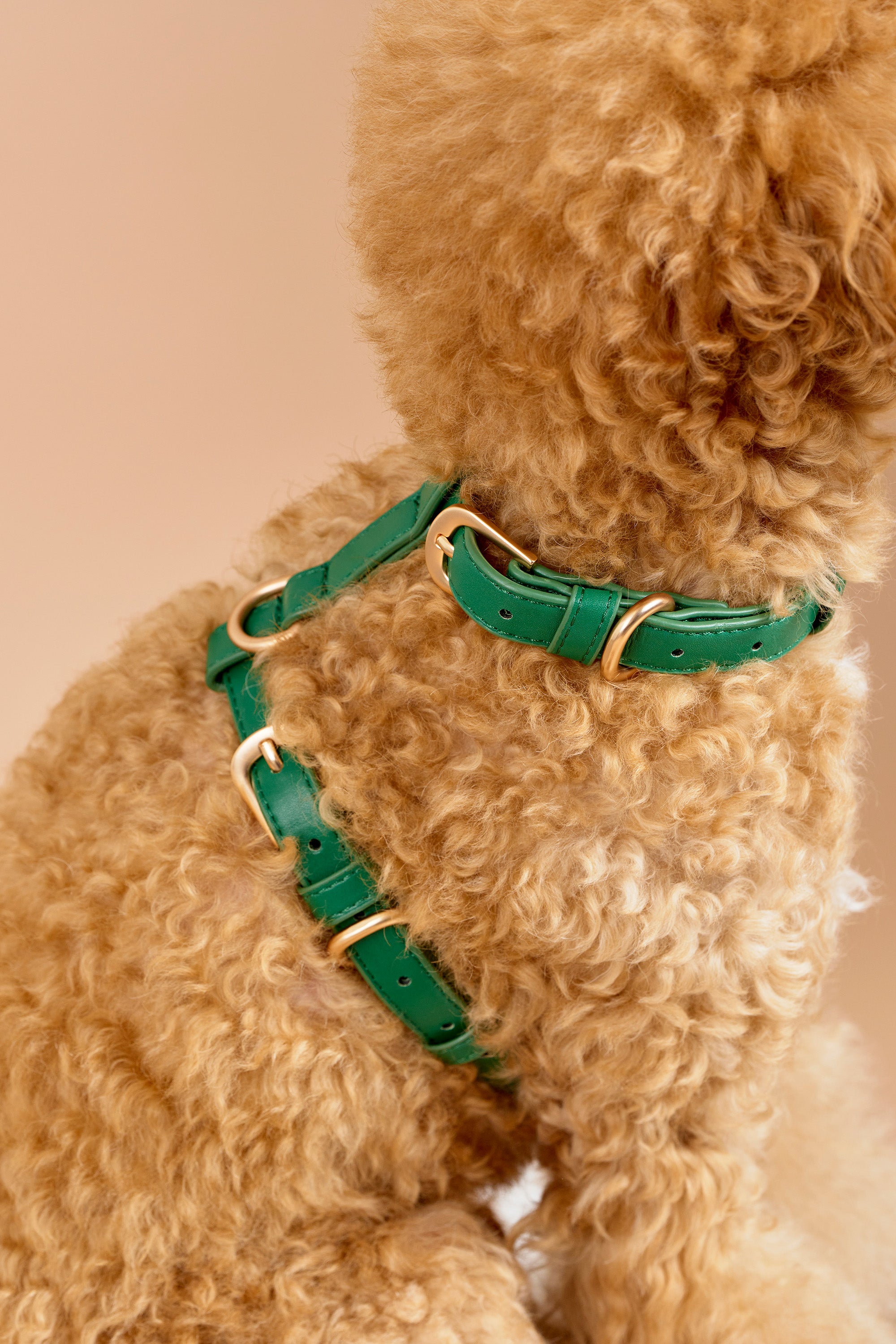 Signature Walk Set – Emerald Green