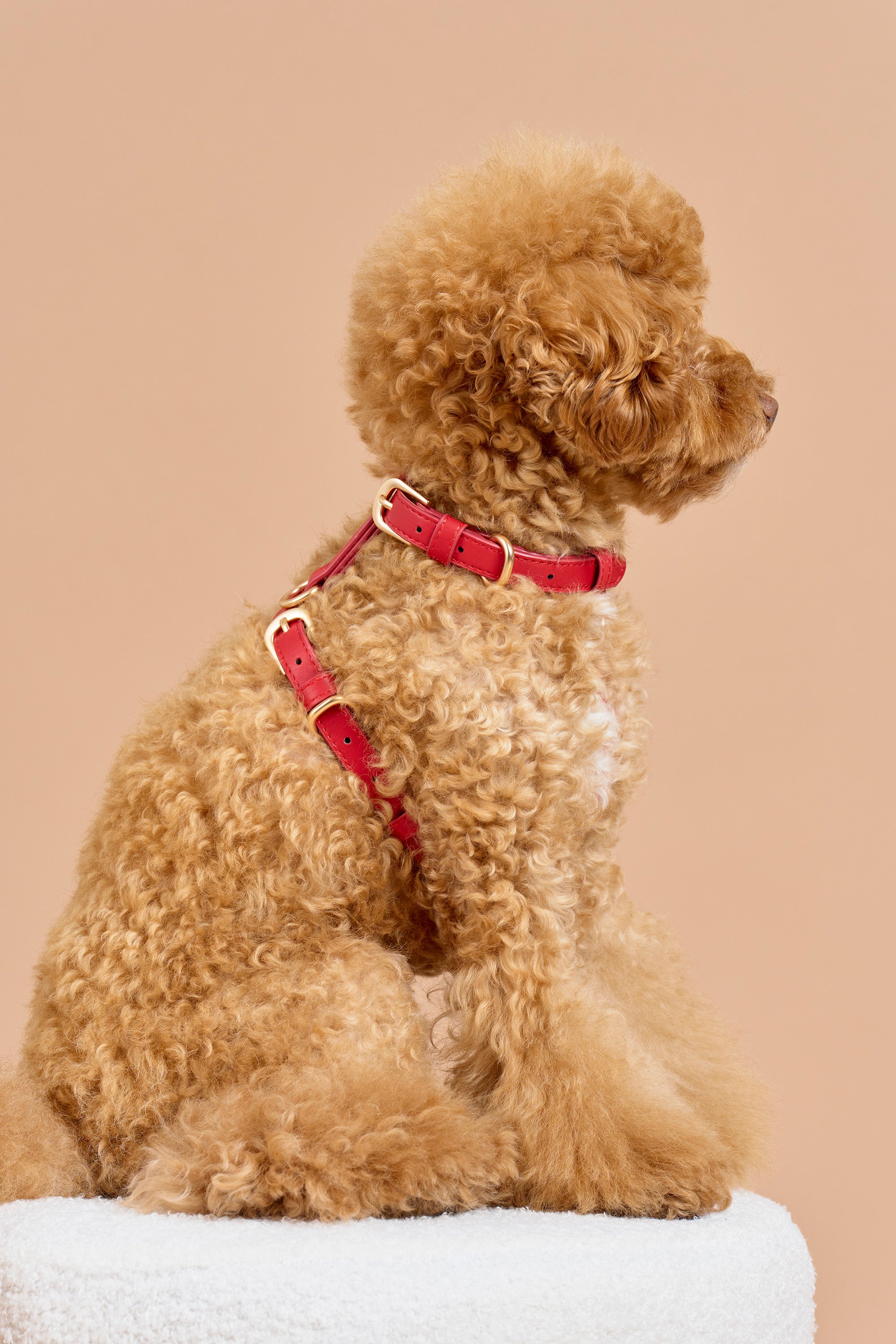 Signature Walk Set – Rouge Red