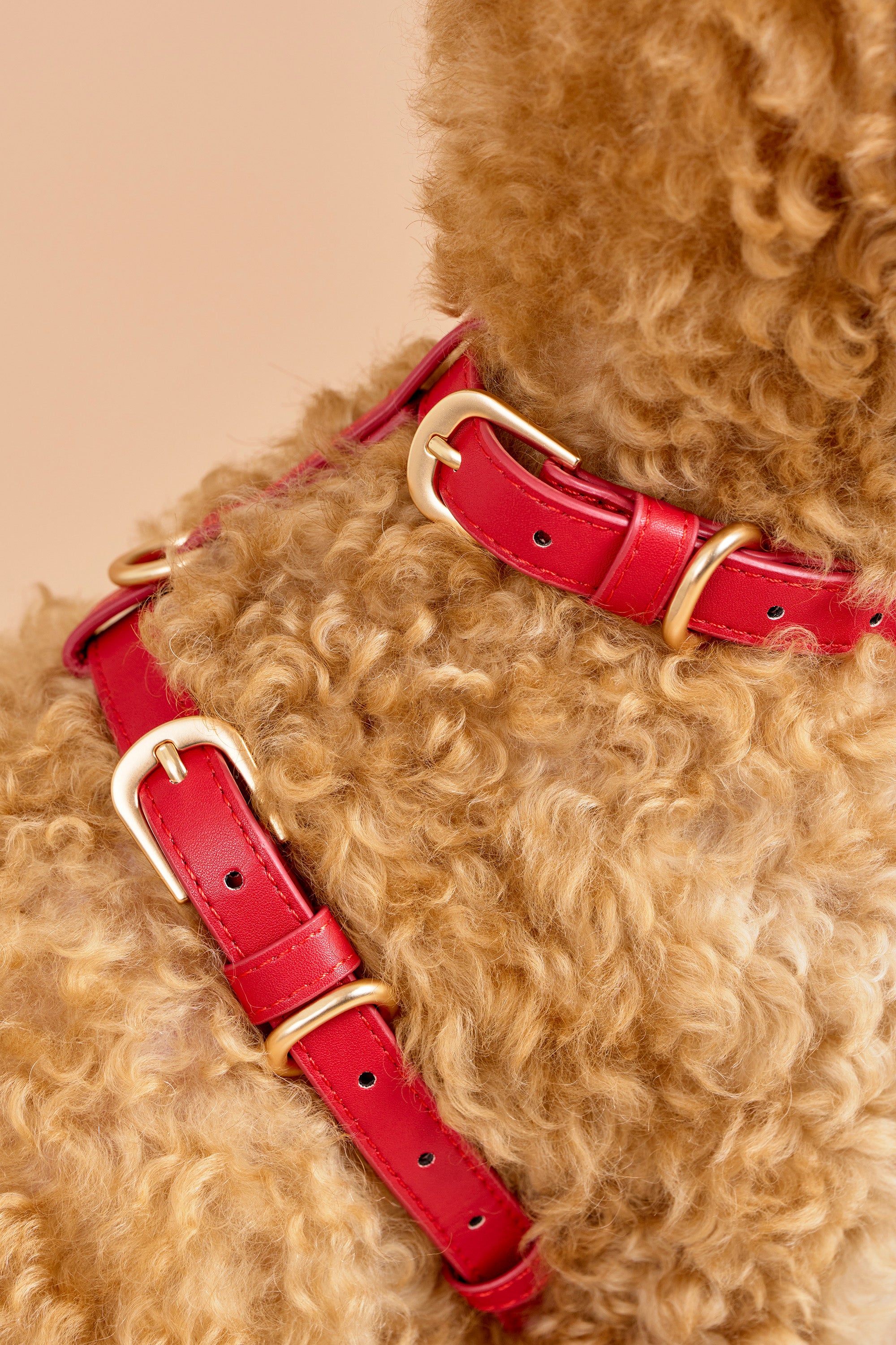 Signature Walk Set – Rouge Red