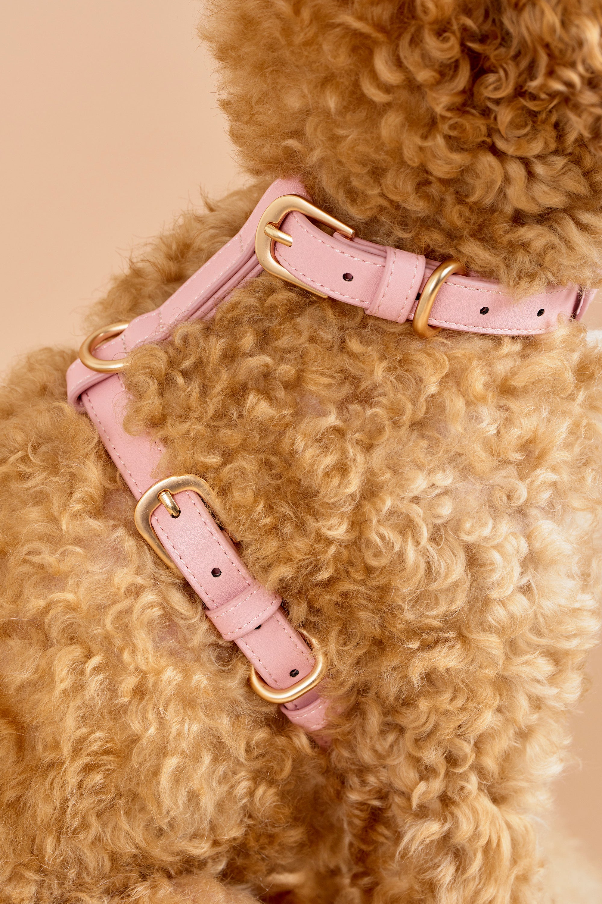 Classic Harness – Blush Pink