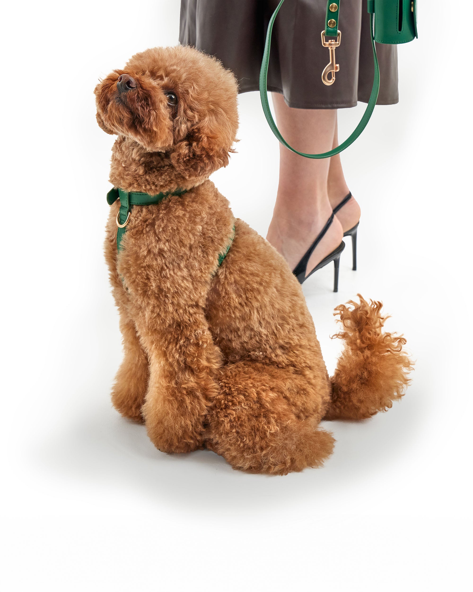 Classic Lead – Emerald Green
