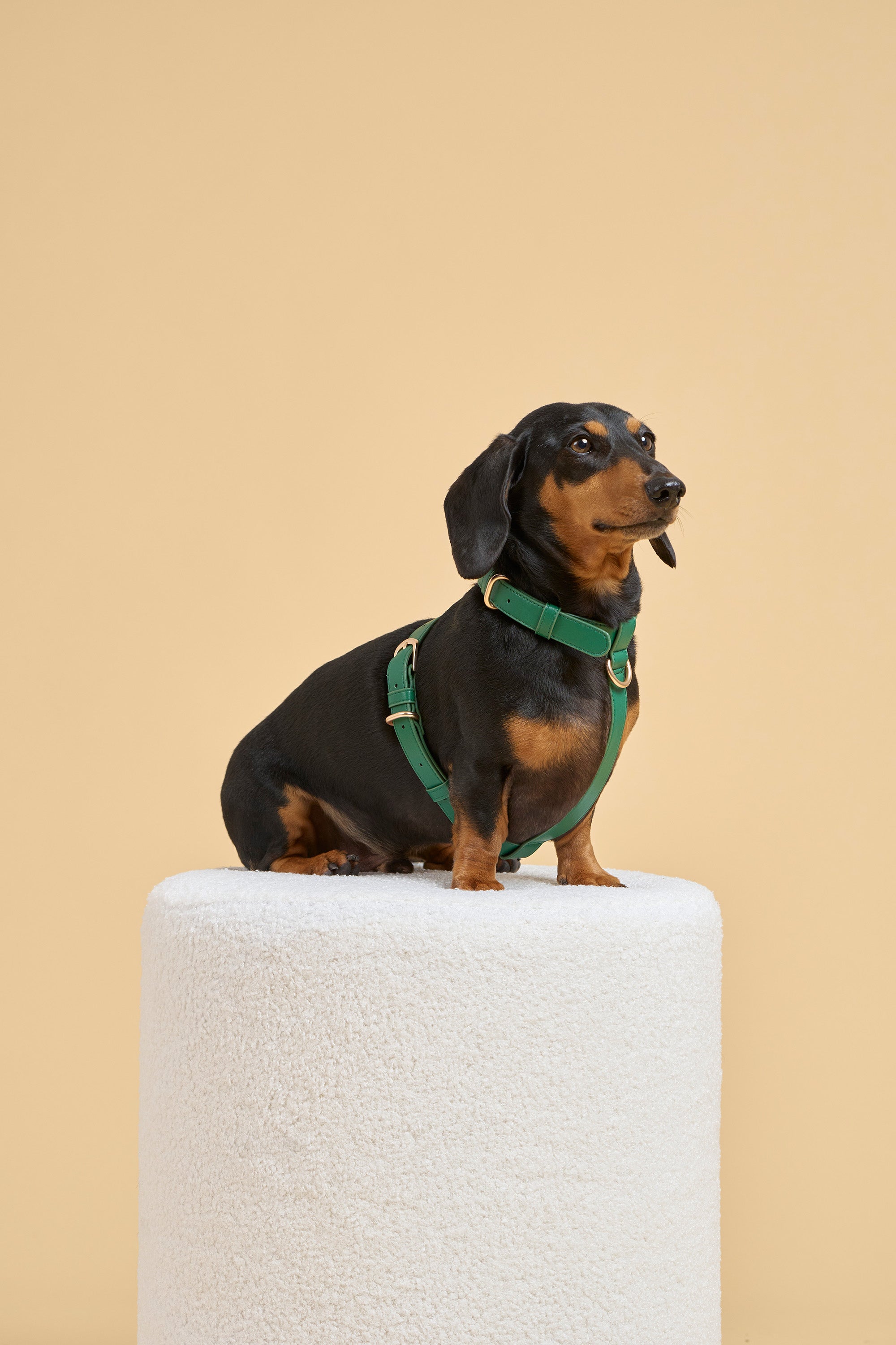 Signature Walk Set – Emerald Green