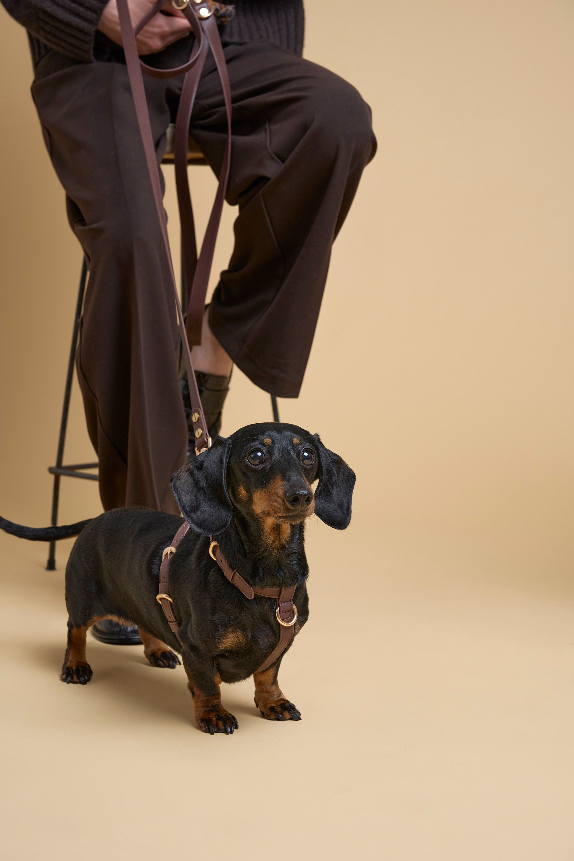 Classic Harness Set – Dark Chocolate