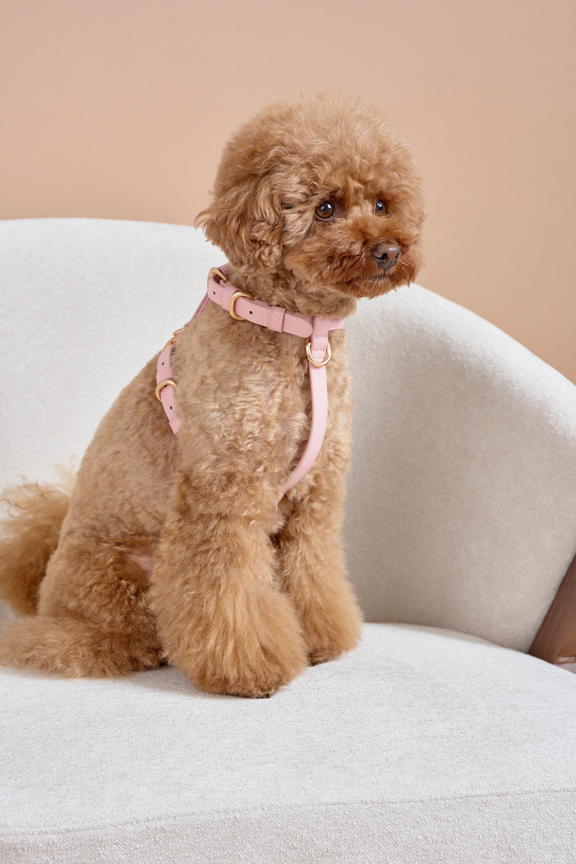 Classic Harness Set – Blush Pink
