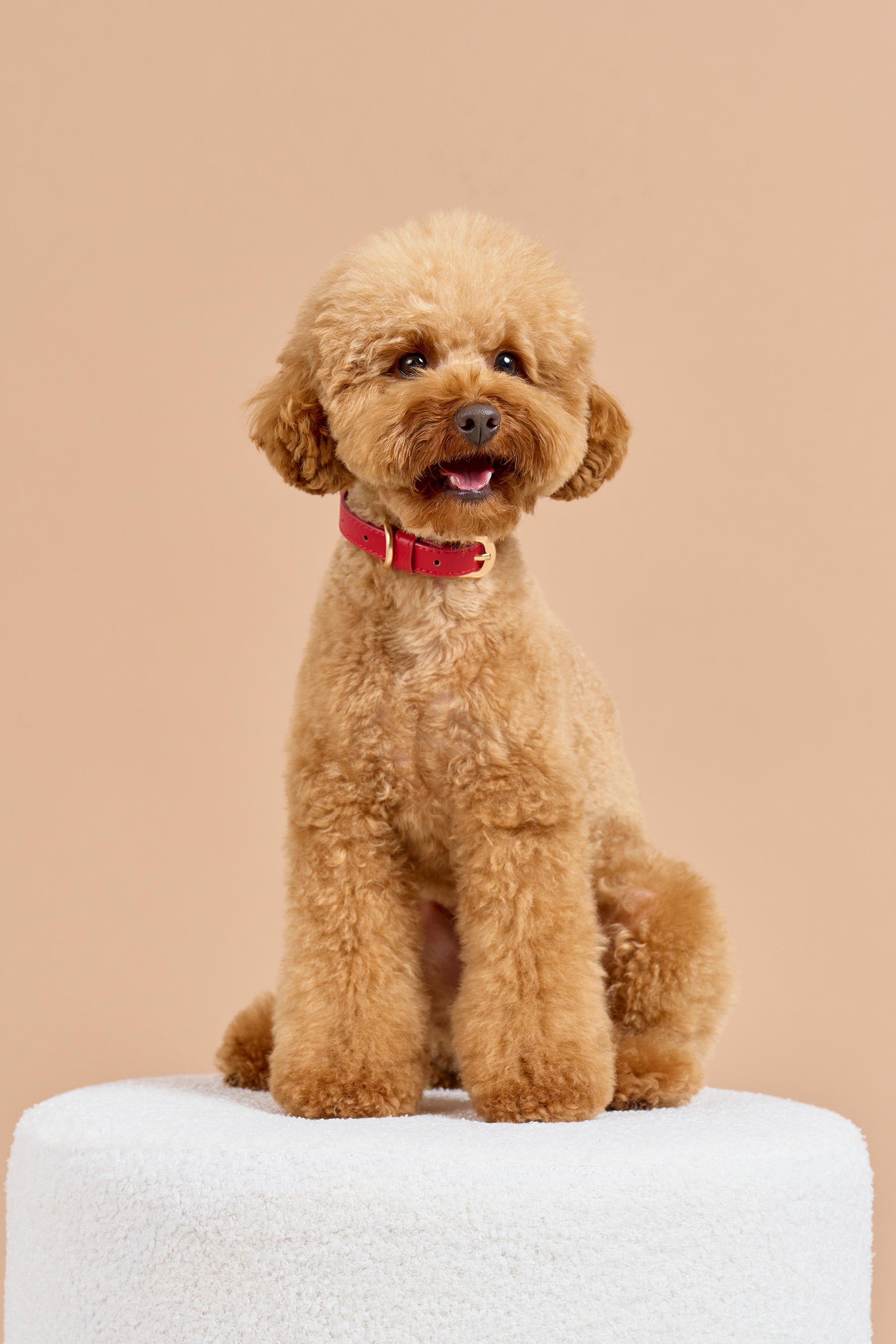 Signature Walk Set – Rouge Red