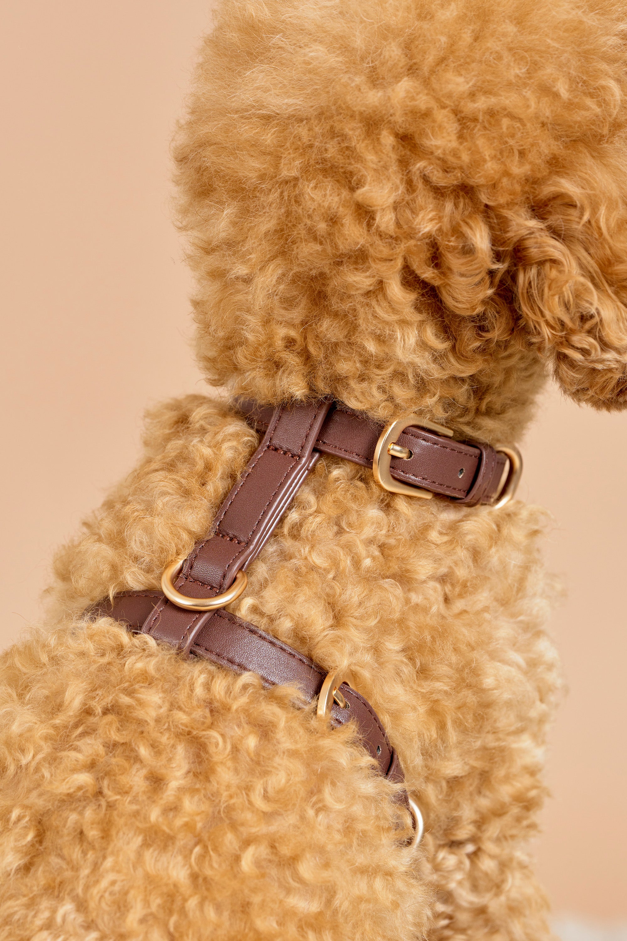Classic Harness Set – Dark Chocolate
