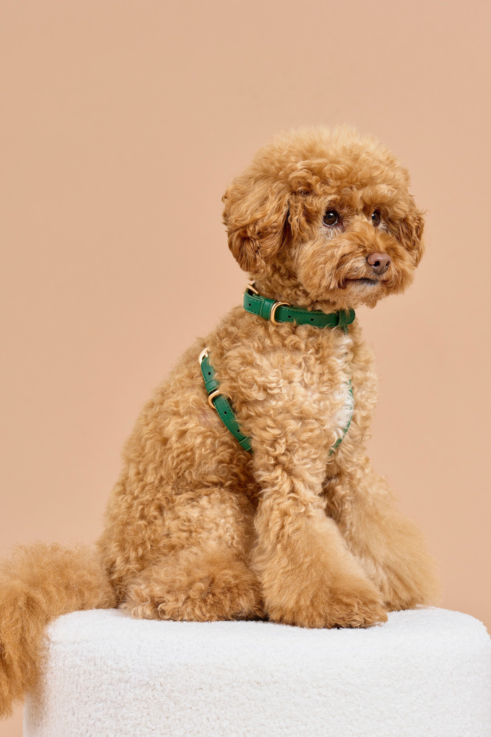 Signature Walk Set – Emerald Green