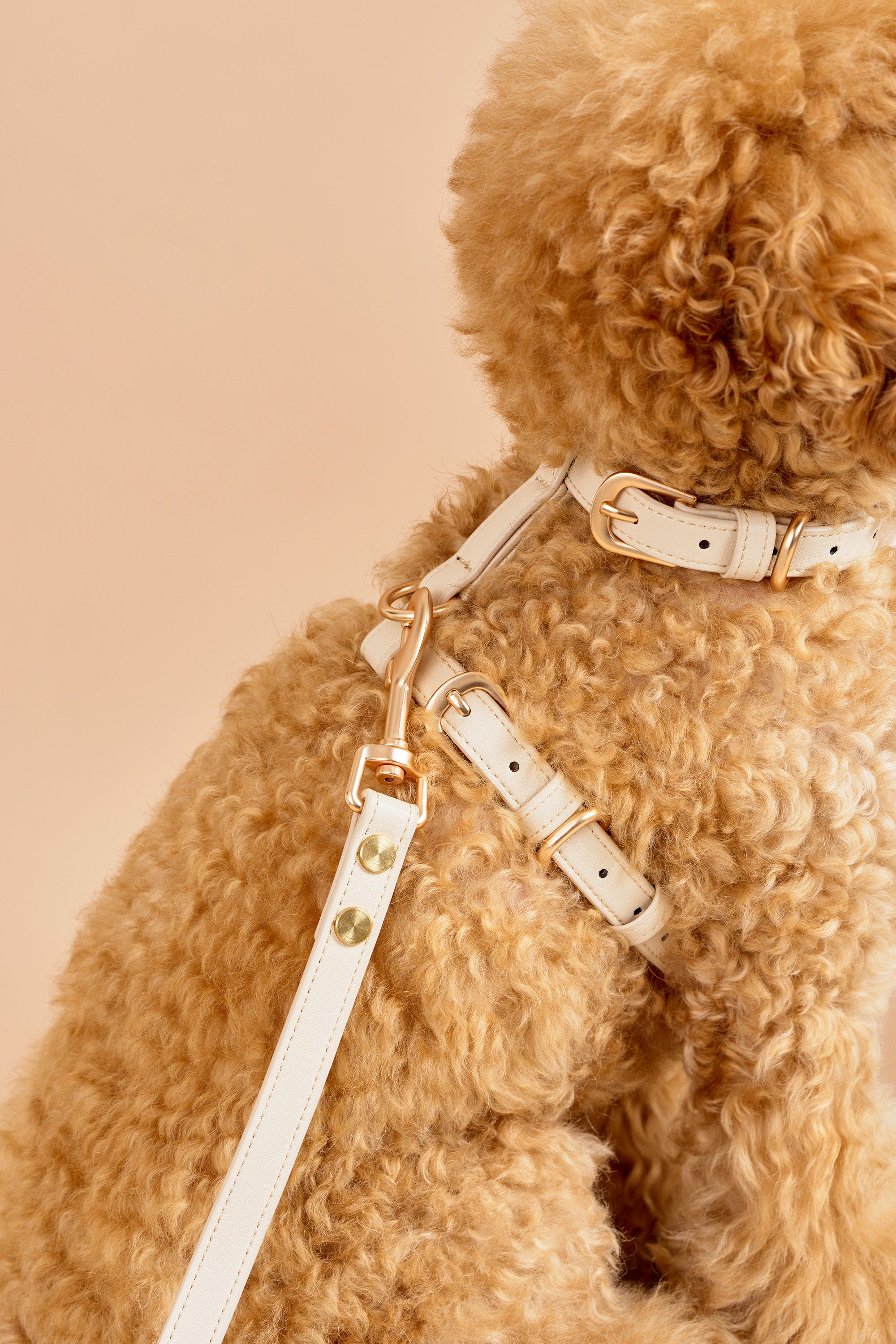 Classic Harness Set – Vanilla Cream